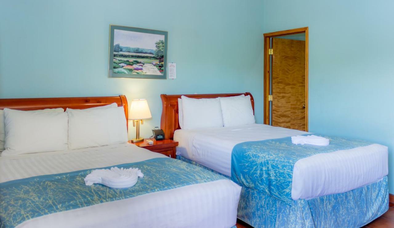 Rolson Hotel San Ignacio Eksteriør billede