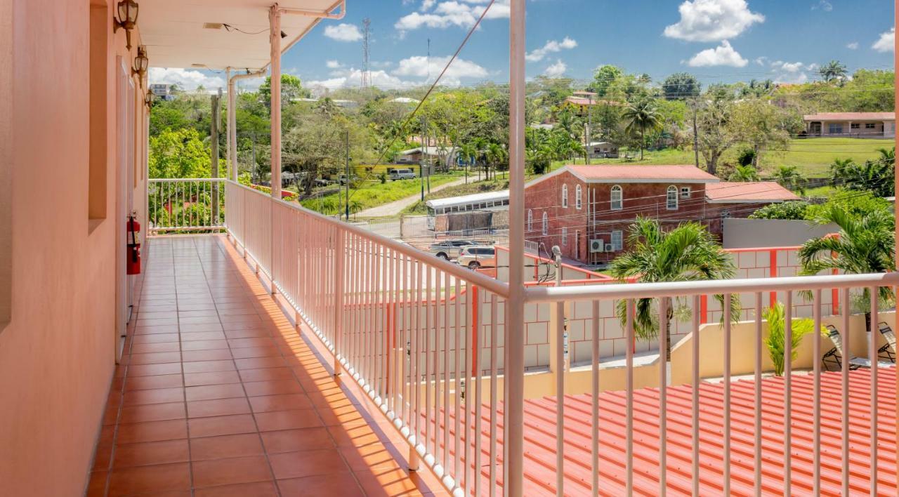Rolson Hotel San Ignacio Eksteriør billede